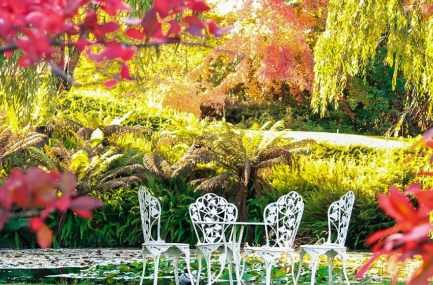 Decorare il giardino con mobili riciclati: ecco la guida
