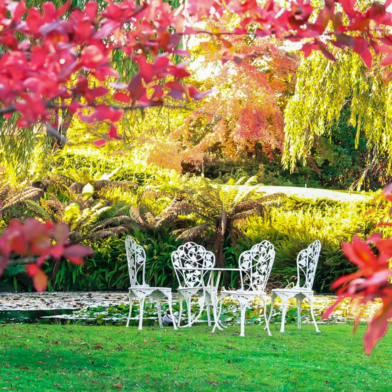 Giardino-Alida-Restyling