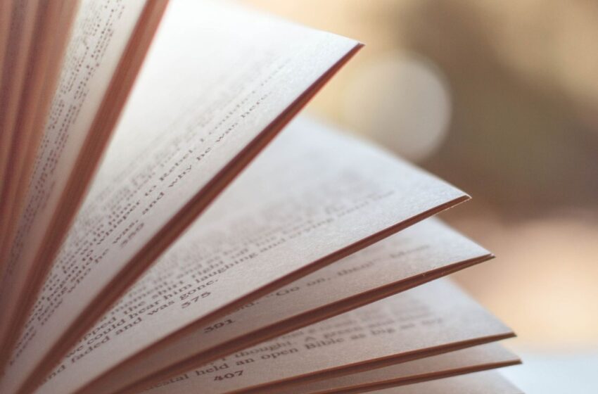  5 libri di arredamento da leggere