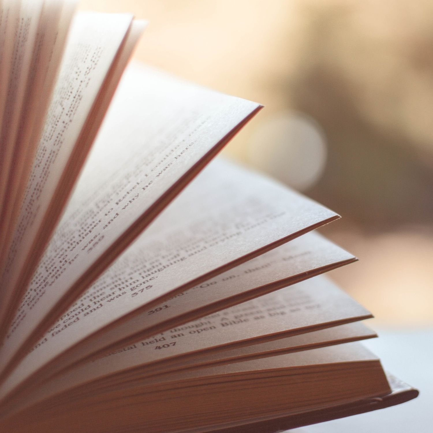 Libri-di-Design-Alida-Restyling